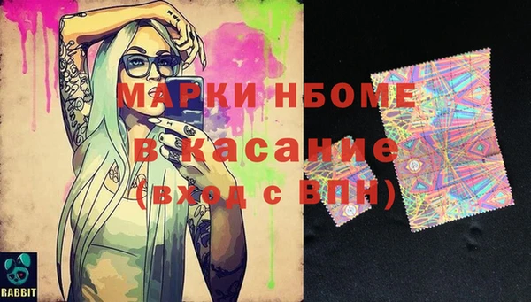 индика Дмитриев