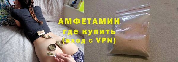 индика Дмитриев