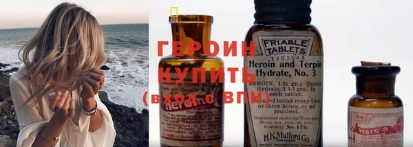 индика Дмитриев
