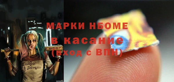 индика Дмитриев