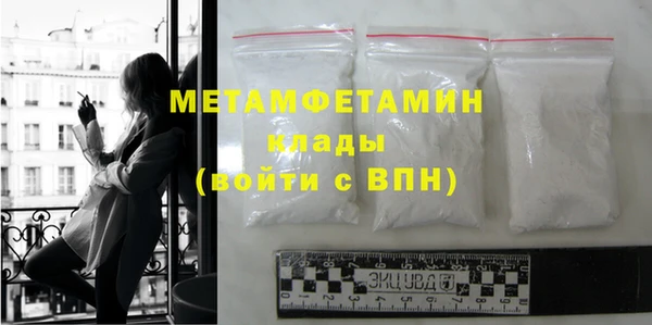 индика Дмитриев