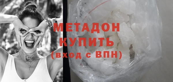 индика Дмитриев