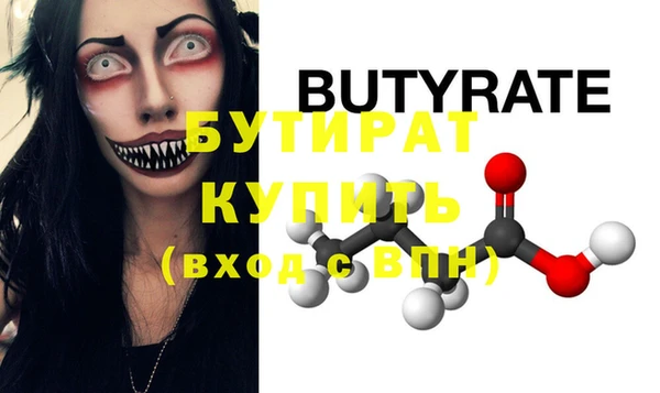 индика Дмитриев