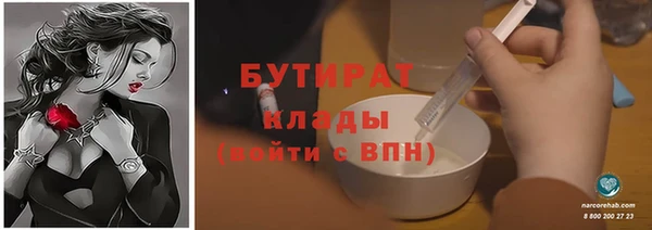 индика Дмитриев