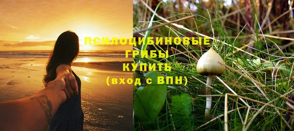 крисы Дмитровск