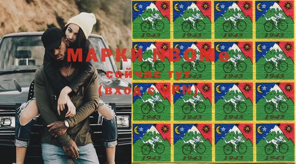 индика Дмитриев