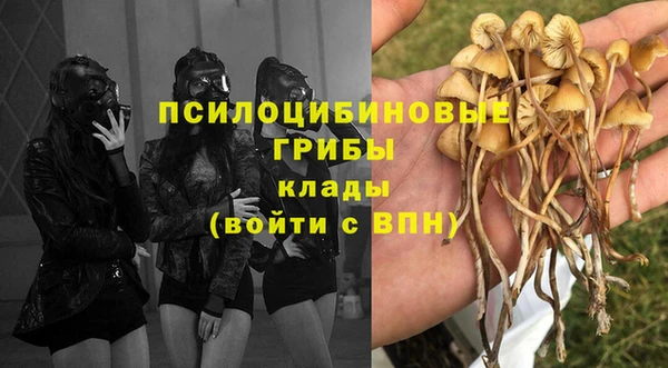 крисы Дмитровск