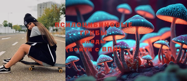 индика Дмитриев