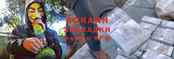 индика Дмитриев