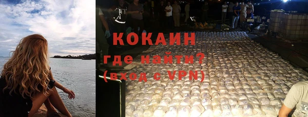 индика Дмитриев