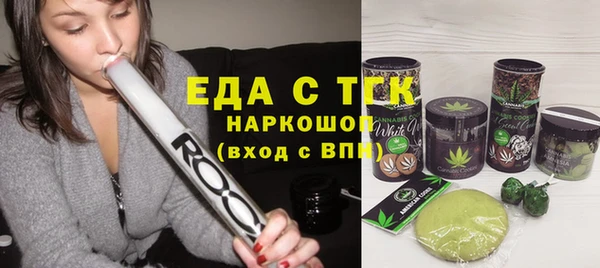 индика Дмитриев