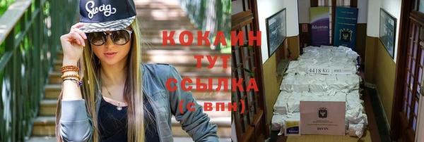 индика Дмитриев